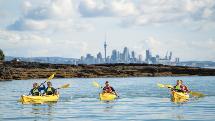 Motukorea Sea Kayak Tour - Auckland Sea Kayaks