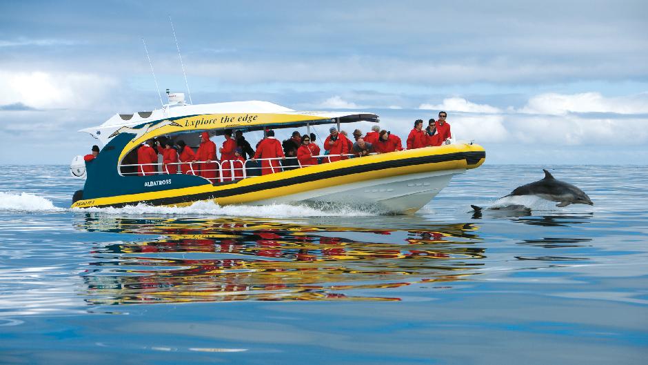 Depart Hobart for an incredible 3 hour wilderness cruise and your choice of Full Day Tour!