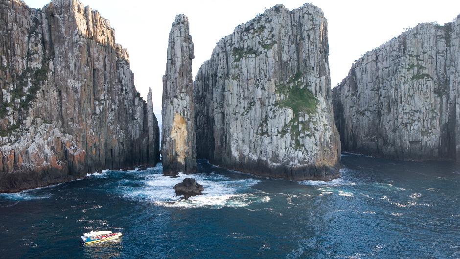 Depart Hobart for an incredible 3 hour wilderness cruise and your choice of Full Day Tour!