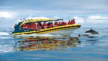 Tasman Island Wilderness Cruise & Full Day Tours - Ex Hobart