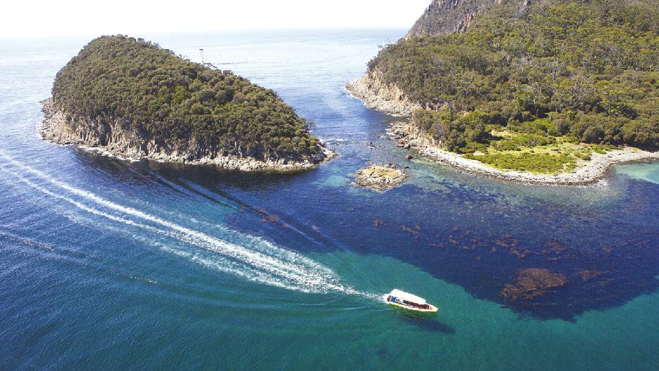 Take an award winning wilderness cruise and explore local sights and gems on the ultimate Bruny Island Cruises experience...