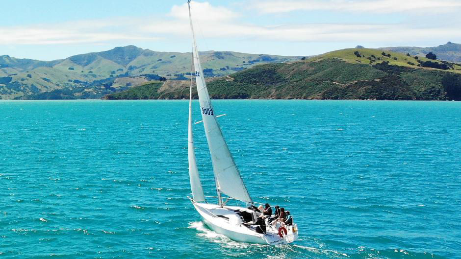 Enjoy an unforgettable private group wildlife cruise  along Akaroa’s picturesque Banks Peninsula coast for you and your friends!