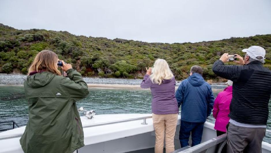 Enjoy an evening cruise followed by a two hour guided walk through coastal forest and sandy beaches with a chance to see the Southern brown kiwi (Rakiura Tokoeka) - often searching for food.