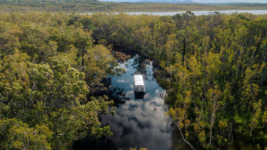 Enjoy a serene cruise through the “River of Mirrors” in Australia’s only Everglades system, the Noosa Everglades. Complimentary pick up from Noosa included.
