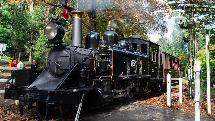 Puffing Billy And Healesville Sanctuary Scenic Bus Tour - Ex Melbourne