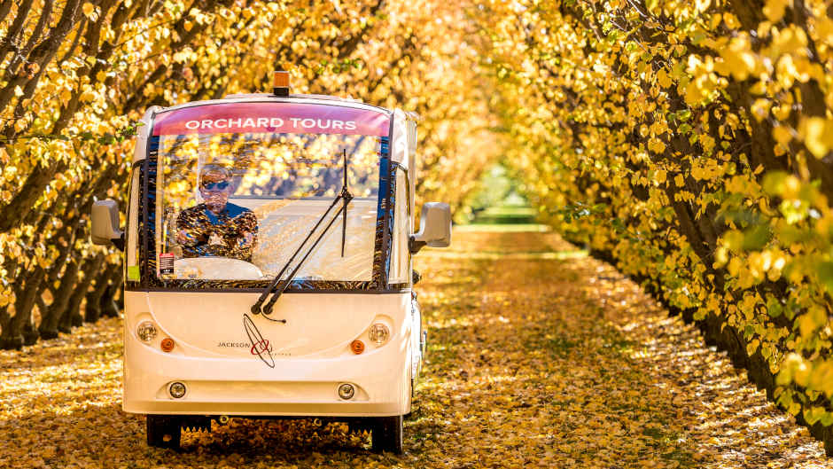 Channel your fruity side and get amongst Central Otago's tastiest, freshest Orchard tour out!