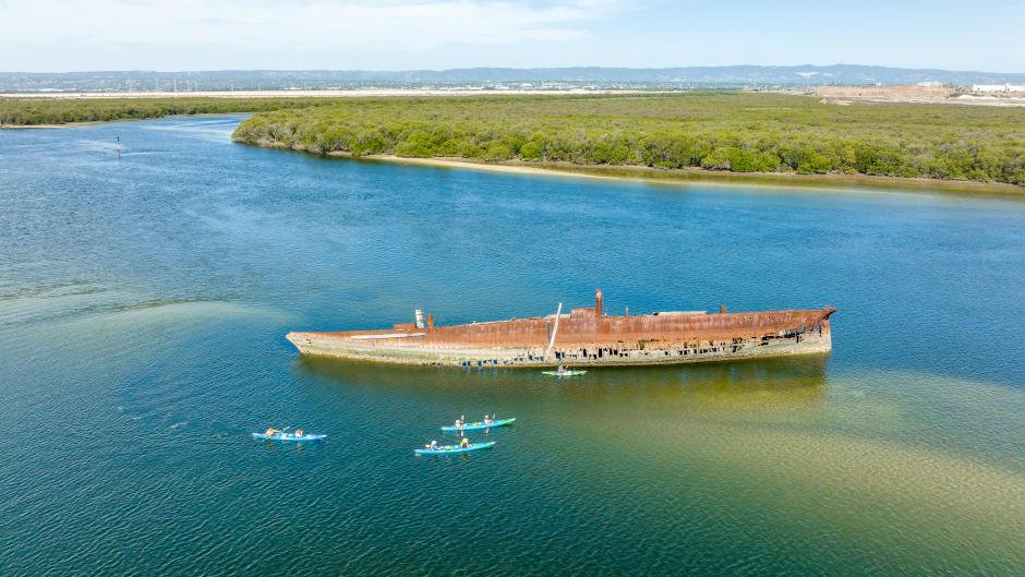 Discover one of Adelaide's most beautiful secret spots by Kayak on the Dolphin Sanctuary & Ships Graveyard Kayak Tour!