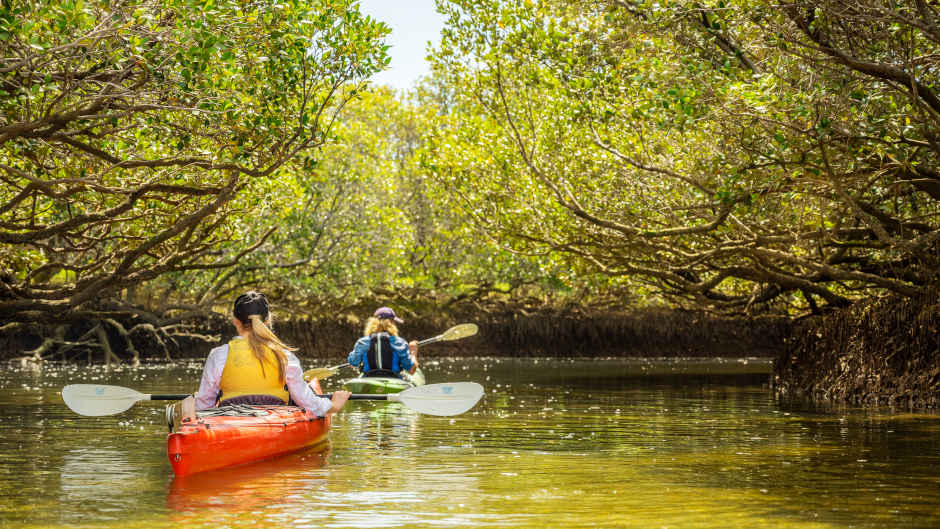 Discover one of Adelaide's most beautiful secret spots by Kayak on the Dolphin Sanctuary & Ships Graveyard Kayak Tour!