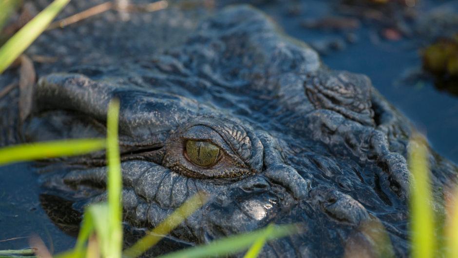 Go off the beaten track and discover the the very best World Heritage listed Kakadu National Park has to offer!