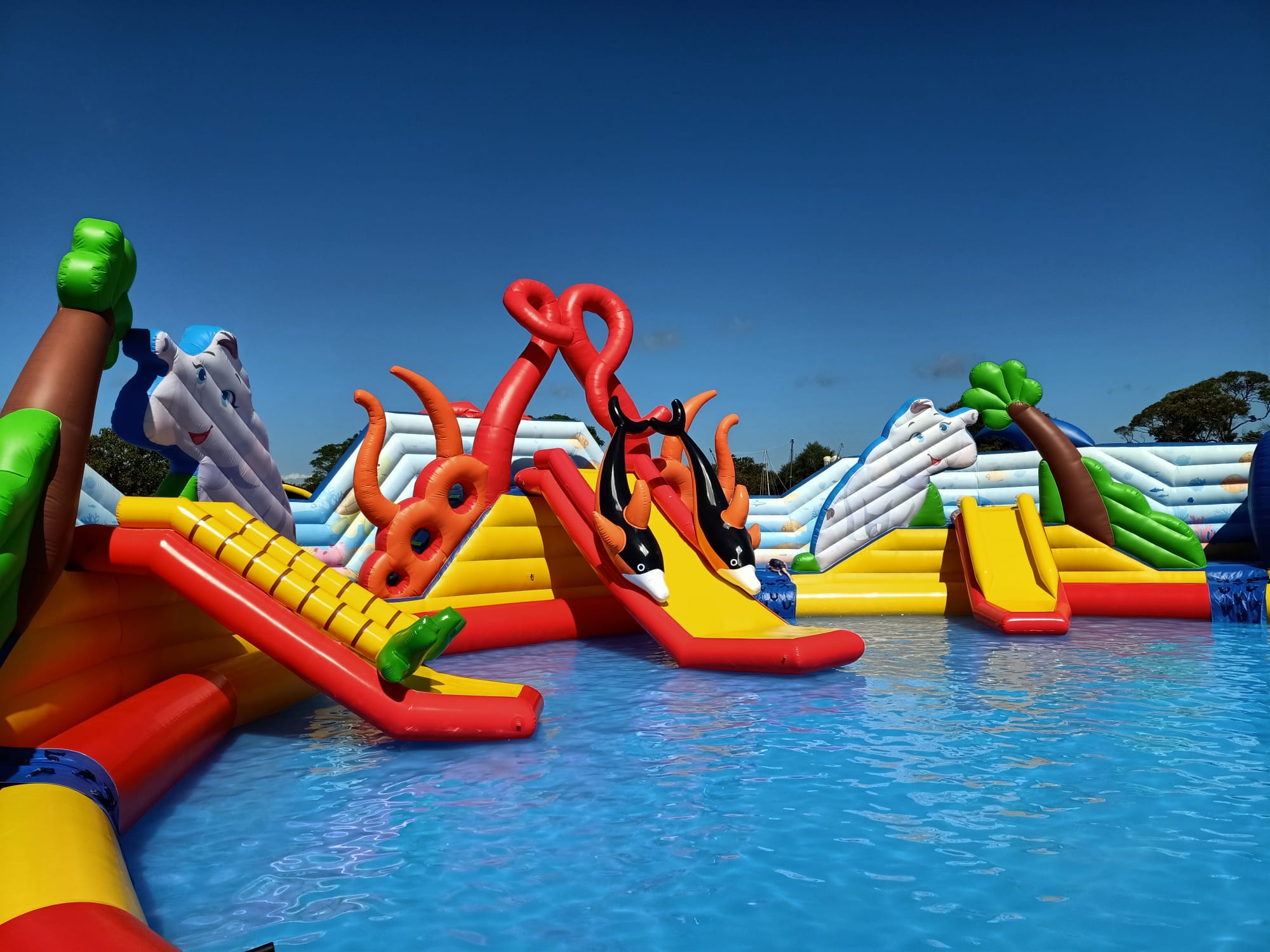 Let the kids go wild on the exciting inflatable Splash Park complete with slides and a shallow splash pool for water play fun!