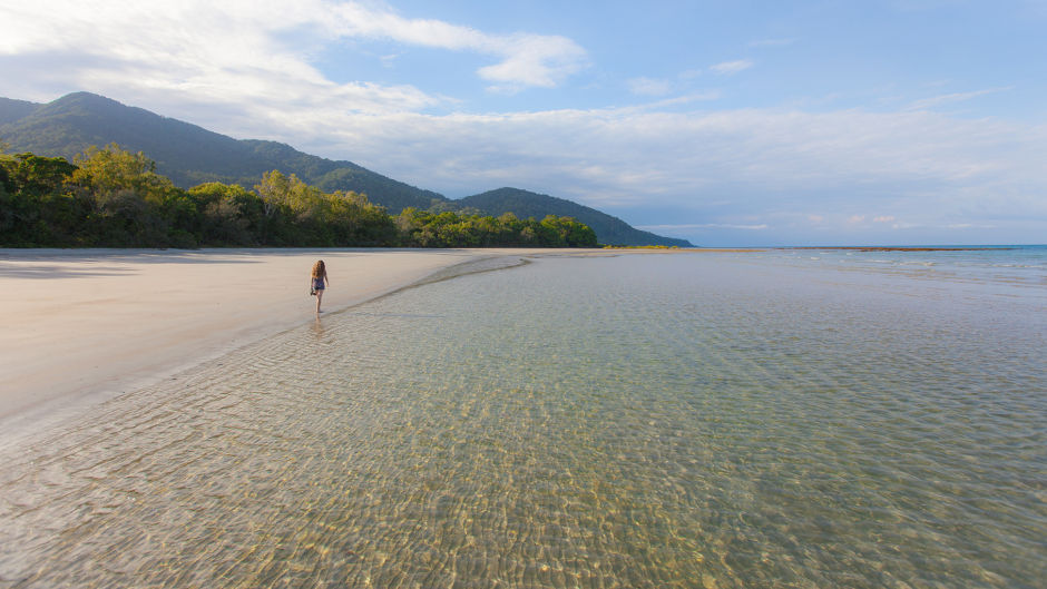 Adventure with Tropic Wings to the Daintree Rainforest and Cape Tribulation to discover the most iconic destinations in Tropical North Queensland.
