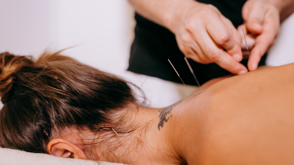 Visit the professionals at Pro Acupuncture Dunedin to gain optimal health and wellness, and experience pain relief through ancient Chinese medicine.