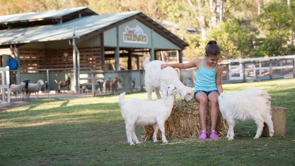 Visit Paradise Country and enjoy an authentic Aussie farm experience. Find out why Paradise Country is quickly becoming the Gold Coast’s favourite destination for a day out with the family. 