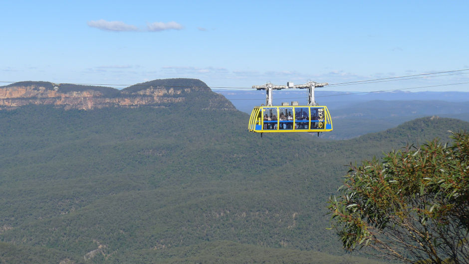 Join us for an unforgettable day exploring the Blue Mountains wildlife, scenic thrills, a river cruise, and more on our Blue Mountains Day Tour.