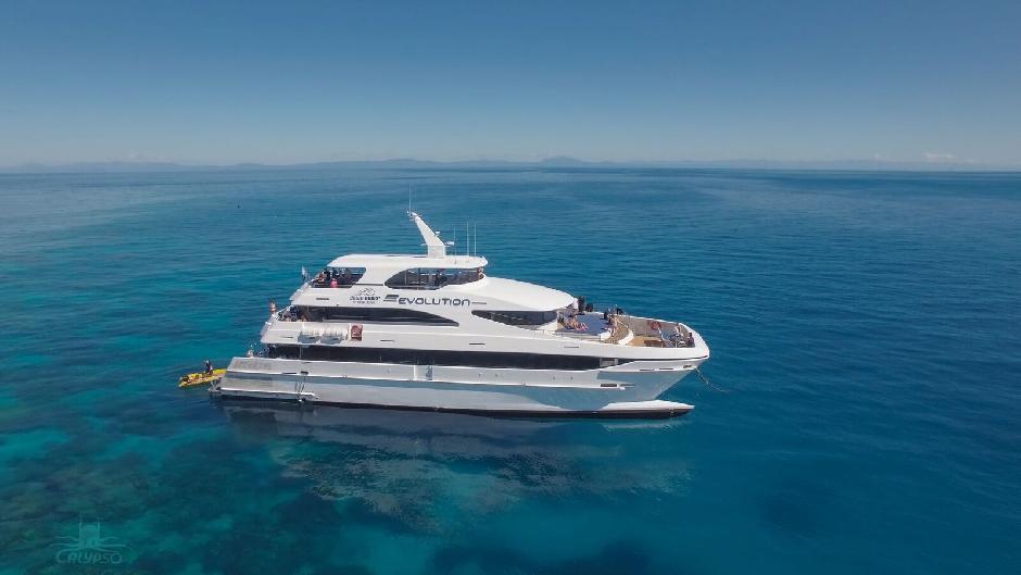 Snorkelling on the Great Barrier Reef