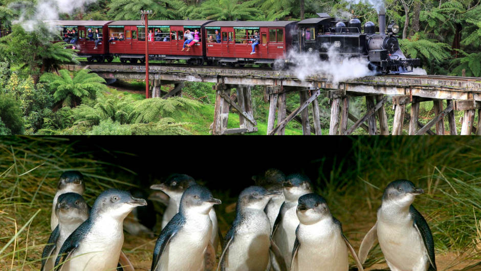 Ride the iconic Puffing Billy steam train through the glorious Dandenong Ranges, enjoy the scenic route to Phillip Island where you can take a coastal walk, explore the Nobbies, see Seal Rock and the Blowhole, then finish the day with the world famous Phillip Island Penguin Parade.