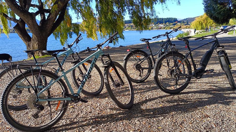 Explore the stunning scenery of Wanaka and the surrounding area with a bike hire and luxury shuttle! 