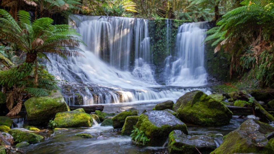 Tasmania Grayline Tasmania