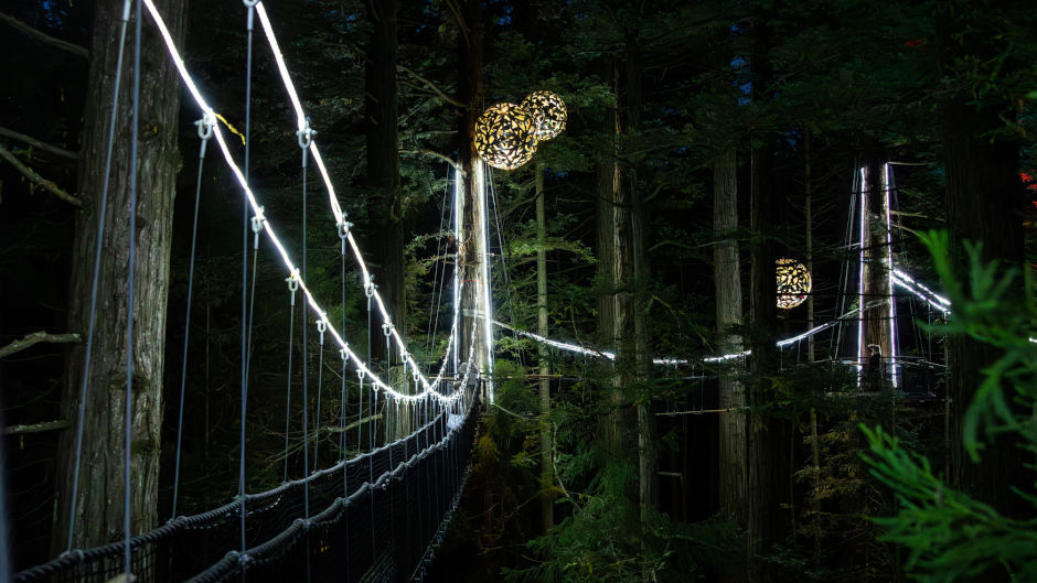 Discover the beauty and wonder of the Redwoods Nightlights™