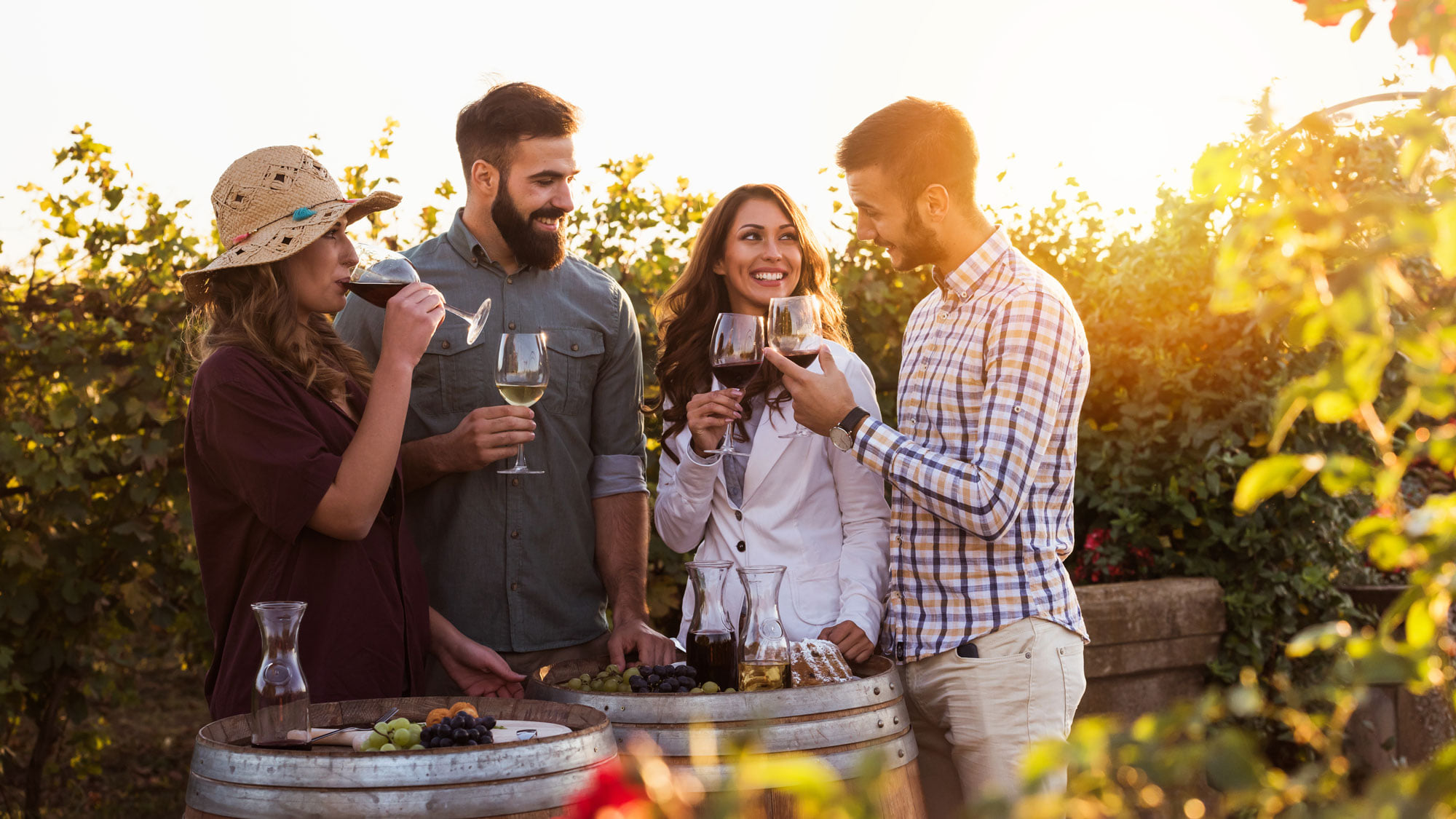 The Gibbston Wine Tasting Tour is a journey through the heart of Central Otago's wine paradise, where you'll sample handcrafted wines, meet passionate winemakers, and learn about the art of winemaking