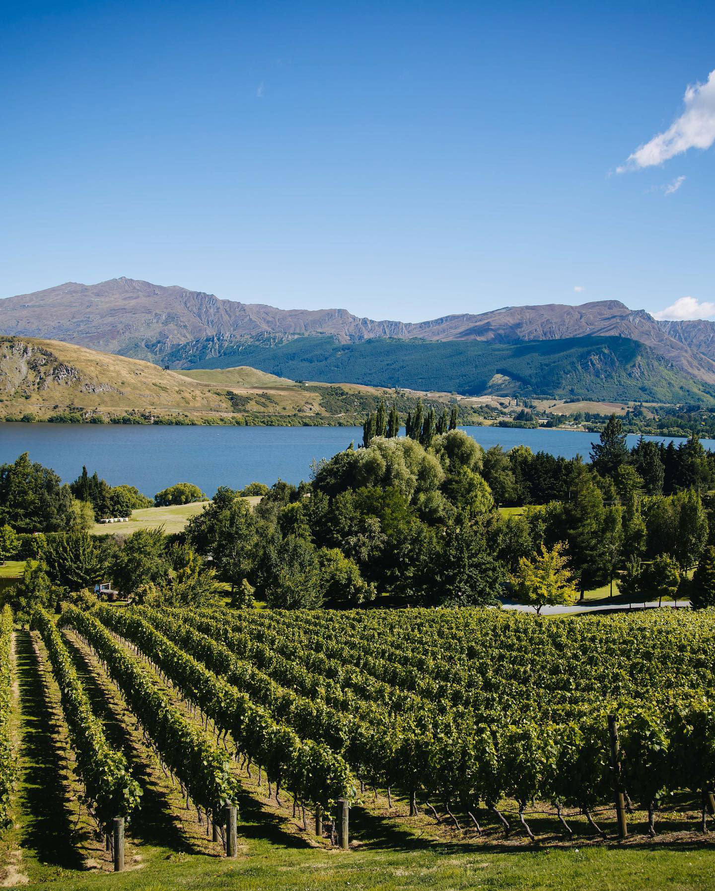 The Gibbston Wine Tasting Tour is a journey through the heart of Central Otago's wine paradise, where you'll sample handcrafted wines, meet passionate winemakers, and learn about the art of winemaking