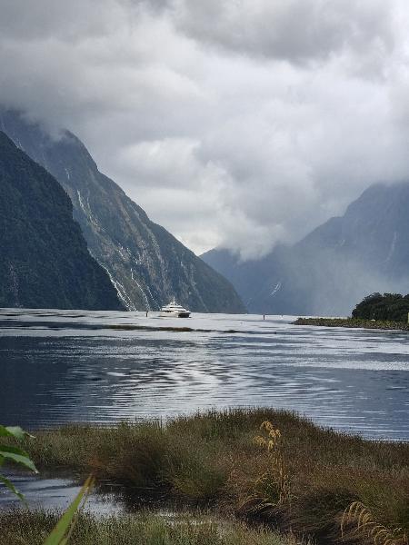 Milford Sound Nature Cruise - Epic deals and last minute discounts