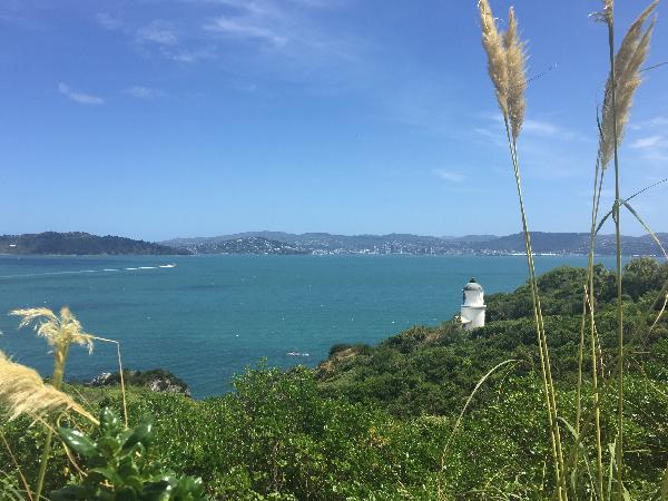 View past the lighthouse back to the city.