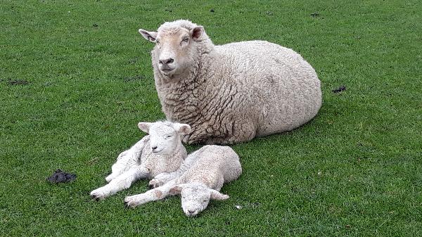 Lovely family activity