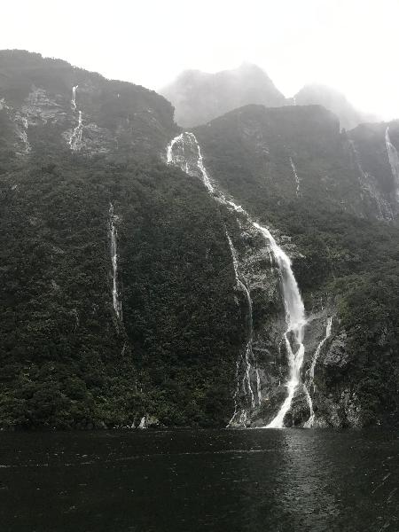 Best way to see the Milford sound!