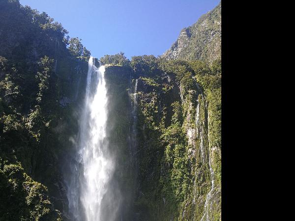 Awesome trip to milford sound