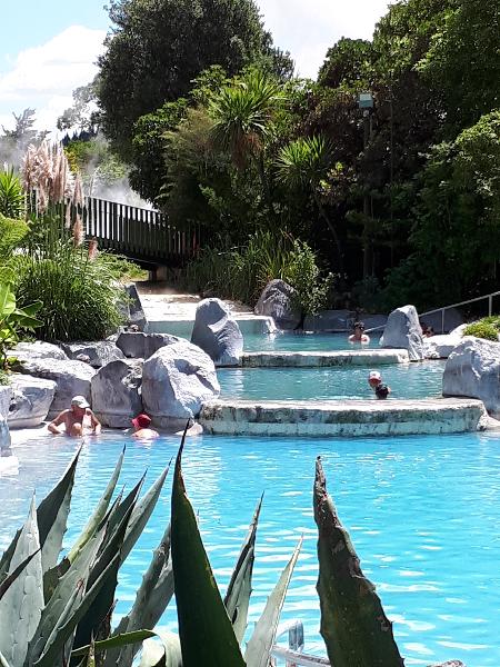 Wairakei terrace pools