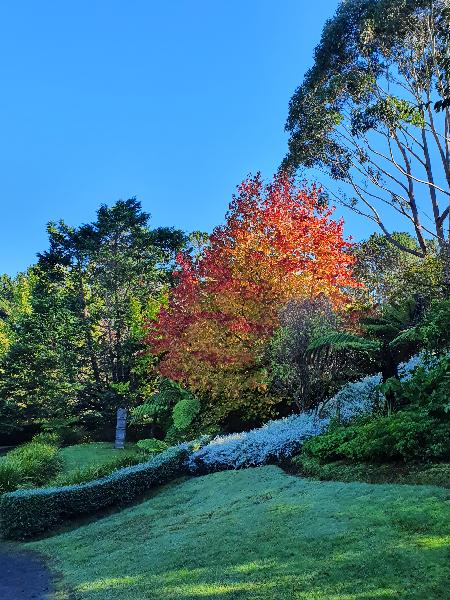 KAIPARA COAST SCULPTURE GARDENS