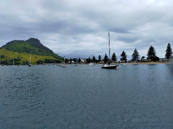 Tauranga harbour cruise