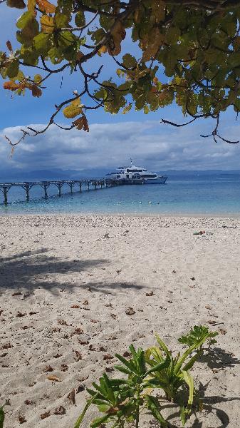 Loved this island beach club!