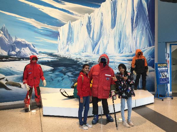 International Antarctic Centre - General Admission - Epic deals and ...