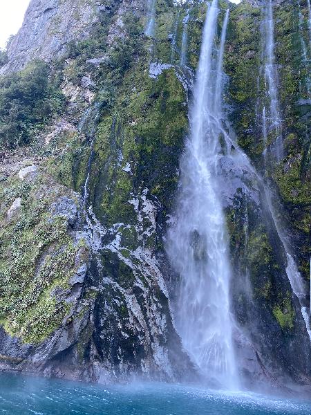 Milford sounds experience 