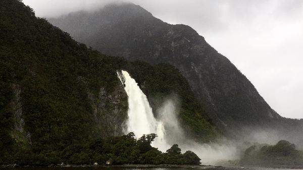 The best experience in Milford Sound