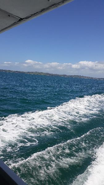 To Kawau on Royal Mail Run