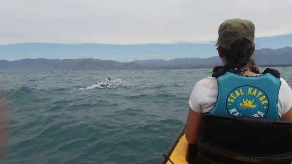 Notre kayak et les dauphins!