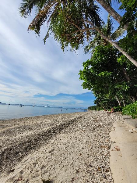 Fitzroy Island Ferry Day Trip - Same Day Return Departs Cairns - Epic ...