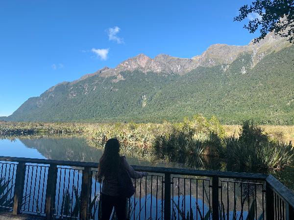Most luxurious way to see the Milford Sounds! 