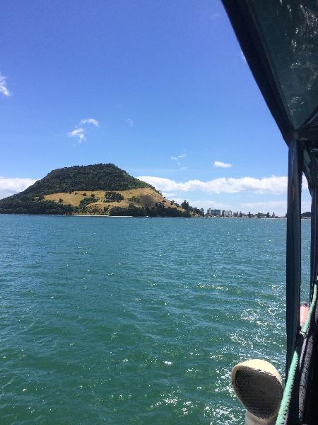 Kewpie Cruises, Tauranga