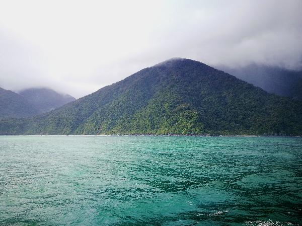 Go Orange Milford Sound Coach Cruise Awesome