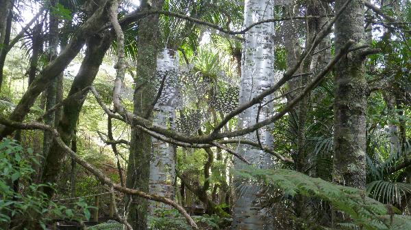 Brick Bay Sculpture Trail