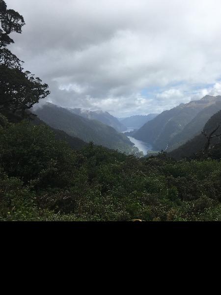 Fantastic day cruise in Doubtful Sound