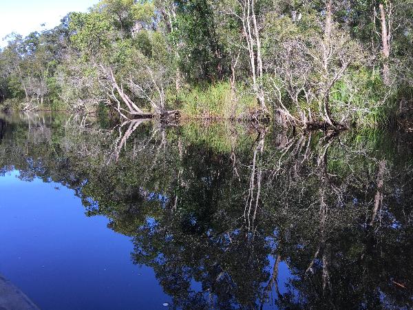 Everglades Canoeing best ever