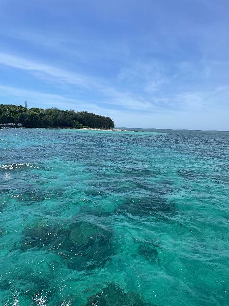 Great snorkelling 