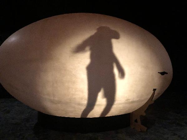 Inside a kiwi egg