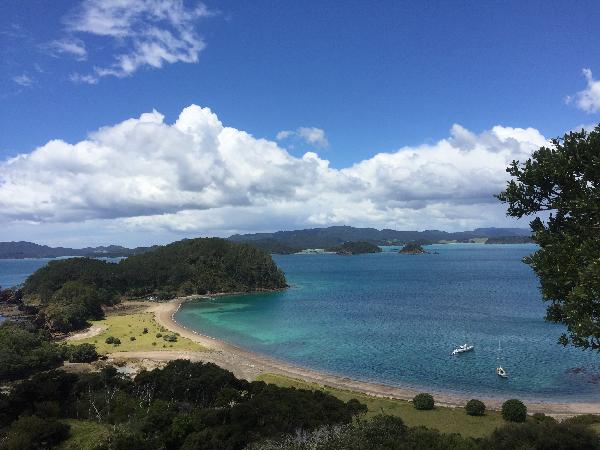 Bay of Islands Day Sailing Adventure - GUNGHA II - Epic deals and last ...