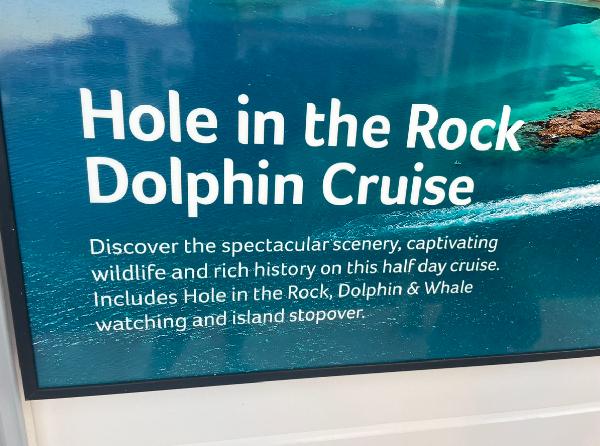 No Dolphin or Whale watching as advertised…